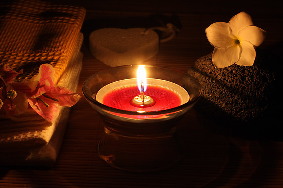 YVES ROCHER - photo 7