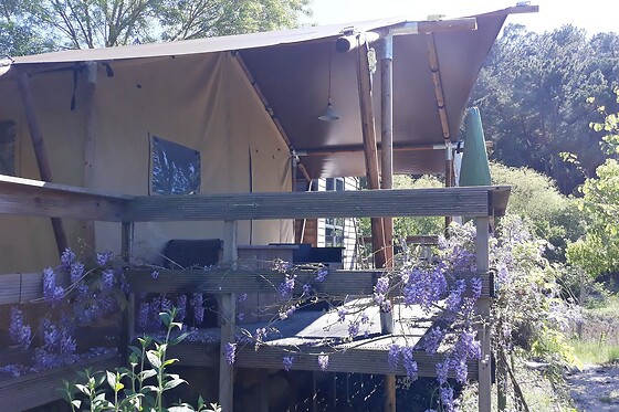Quinta Japonesa - photo 28