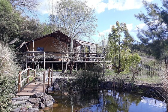Quinta Japonesa - photo 29