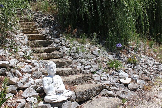 Quinta Japonesa - photo 31