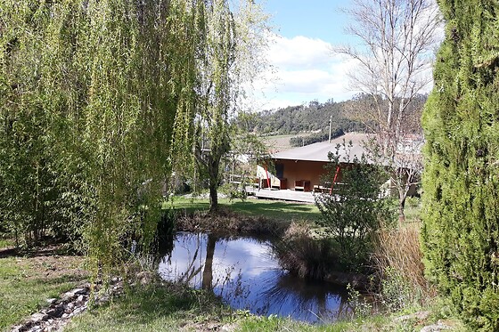 Quinta Japonesa - photo 1