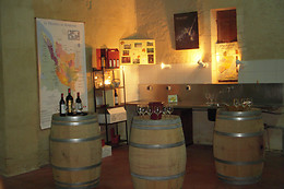 Chateau des Faures