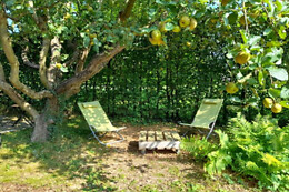 L'Echappée au jardin