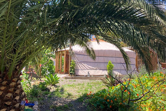 YURTA EN ESPACIO ACOGEDOR E INTIMO - photo 2