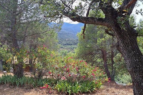 Un séjour pour 2 aux Cabanes d'ErbeFol à Ansignan (66)