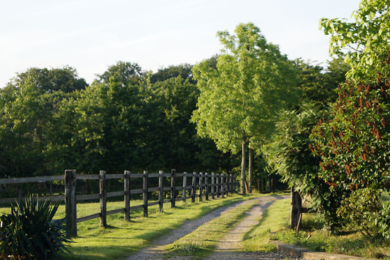 Haras du Loup - photo 3