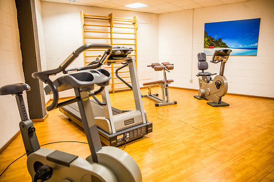 Hotel Glis - photo 2