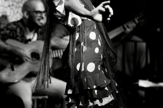 TABLAO FLAMENCO EL TORO Y LA LUNA VALENCIA - photo 2