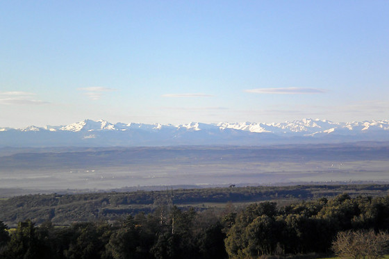 Domaine de Campras - photo 10
