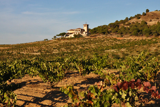 BODEGA  PIEDRA - photo 1