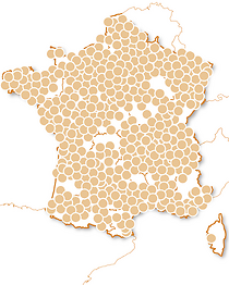 Happy Merci