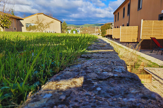 Hotel Les Chataigniers - photo 9