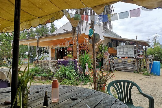 GLOBAL TRIBE BIODYNAMIC ECOVILLAGE - photo 7