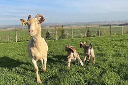 La ferme du grand air