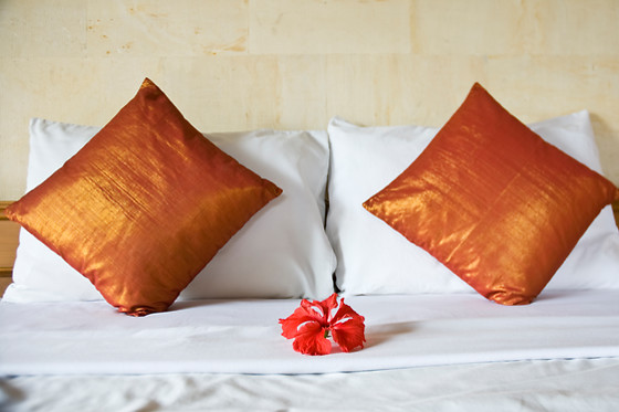 HOTEL ARVA SPA PARIS - photo 4