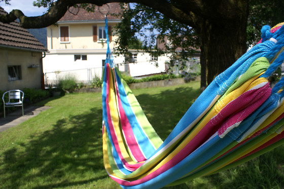 Carpe Diem - photo 3