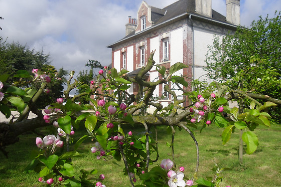La Pommeraie - photo 2
