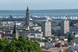 LES VIOLETTES DE MALLEVILLE