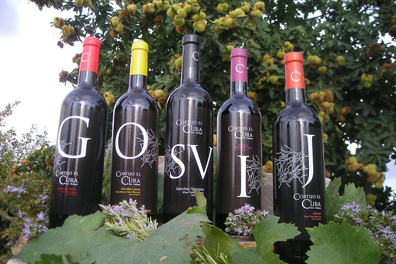 CORTIJO EL CURA ECO-BODEGA - photo 4