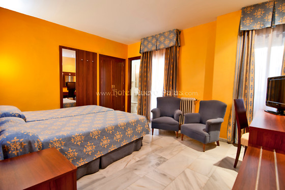 HOTEL  NUEVO PALAS - photo 11