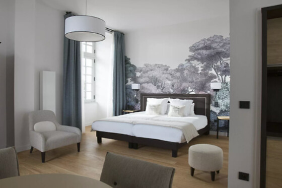 Séjour pour deux à l'Hôtel & Spa Collège des Doctrinaires **** à Lectoure (37)