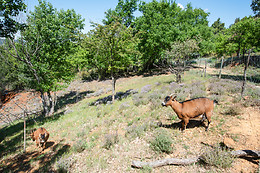 La Colline des Ocres