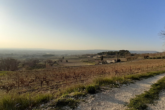 Domaine Charols - photo 4