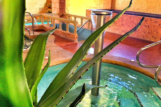 LOHEGA BALNEARIO URBANO - photo 6