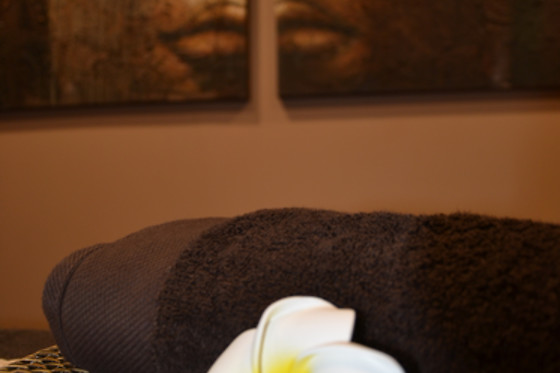 Mons Institut Zen - photo 2
