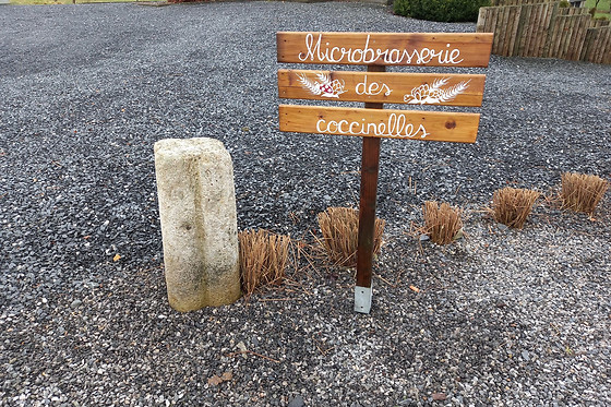 Microbrasserie des Coccinelles - photo 10