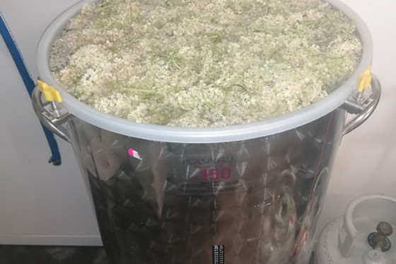 Microbrasserie des Coccinelles - photo 17