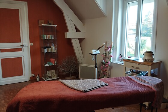 Plume de beauté - photo 1