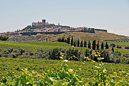 J. PORTUGAL RAMOS WINES II & SPIRIT