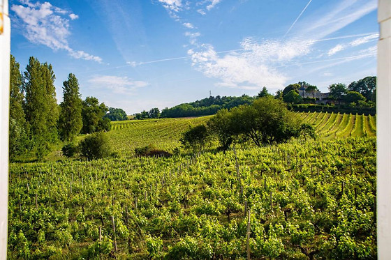 La Closerie de Fronsac - photo 6