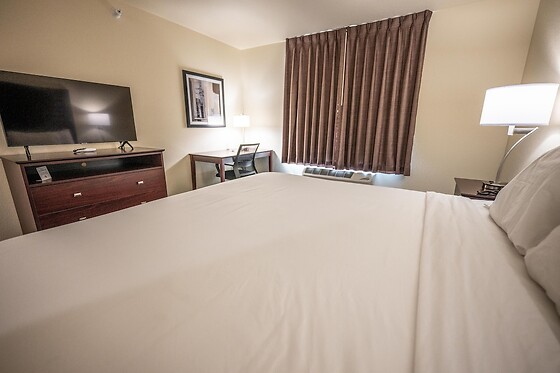 Online Booking EPS - photo 9
