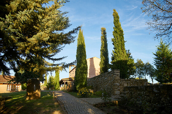 FINCA EL CORTIÑAL - photo 3