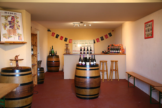 Domaine Du Côteau Des Lys - photo 2