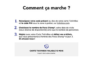 Carte Disneyland® Paris Olaf