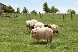 Ferme de La Borde