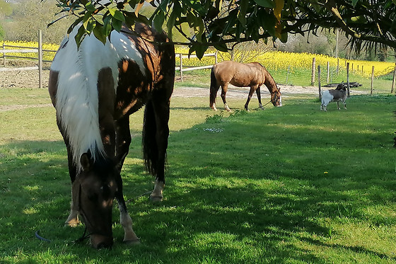 Au clos du lit - photo 11