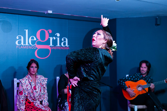 ALEGRÍA FLAMENCO Y GASTRONOMÍA - photo 0