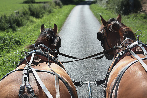 HOTEL RURAL POSADA EL SOLAR - photo 25