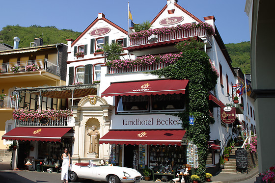 Landhotel Becker - photo 0