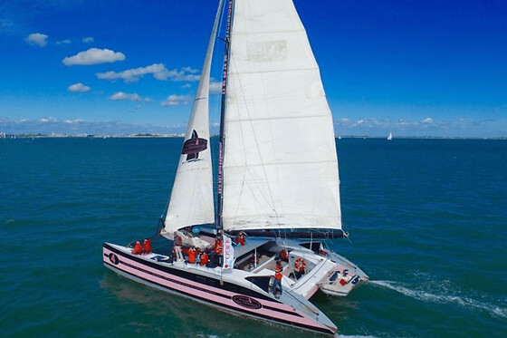 Journée en Catamaran vers l'Ile de Houat depuis Port-Blanc - Tarif adulte