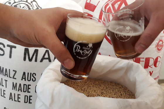 CERVESES PONENT - photo 1