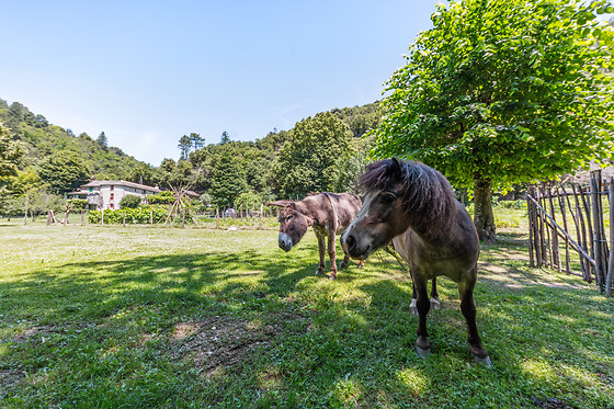 Un séjour pour deux à la Ferme de Lancizolle à Saint-Germain-de-Calberte (48)