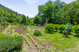 Ferme de Lancizolle