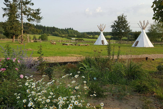 Cowboy Legend Ranch - photo 3
