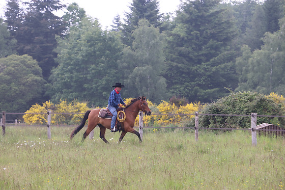 Cowboy Legend Ranch - photo 5