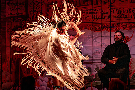 FLAMENCO DE LEONES - photo 0